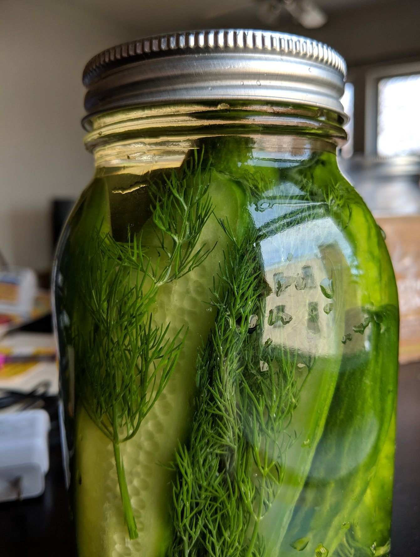 Jar of pickles with dill on a kitchen counter