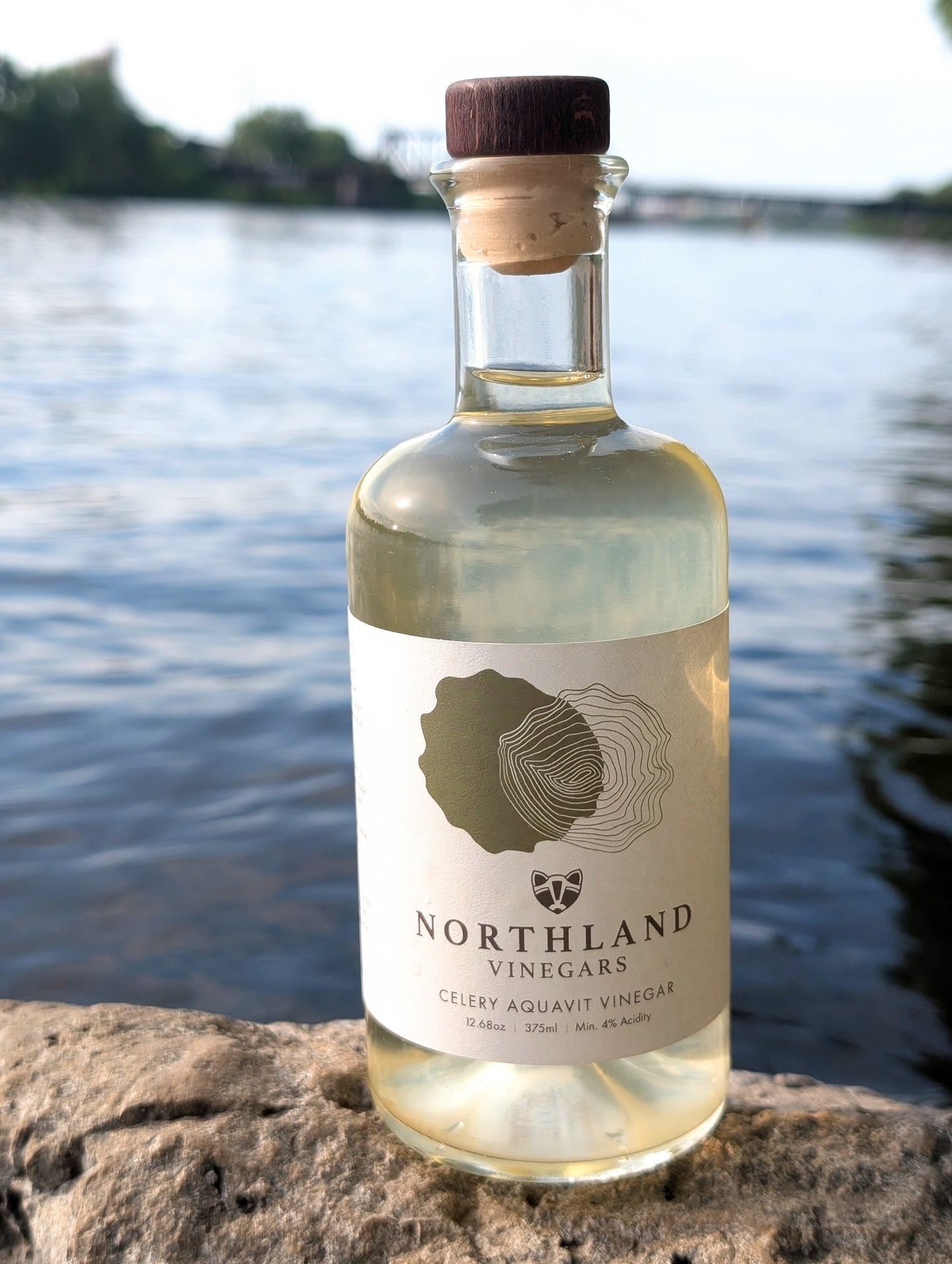 Bottle of Celery Aquavit Vinegar with fresh celery and caraway notes, handcrafted in Minnesota.
