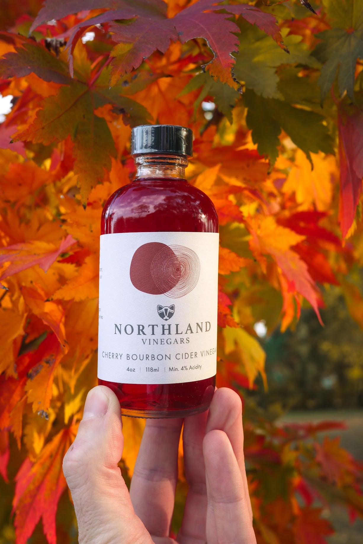 Chef Set: Vinaigrette Essentials