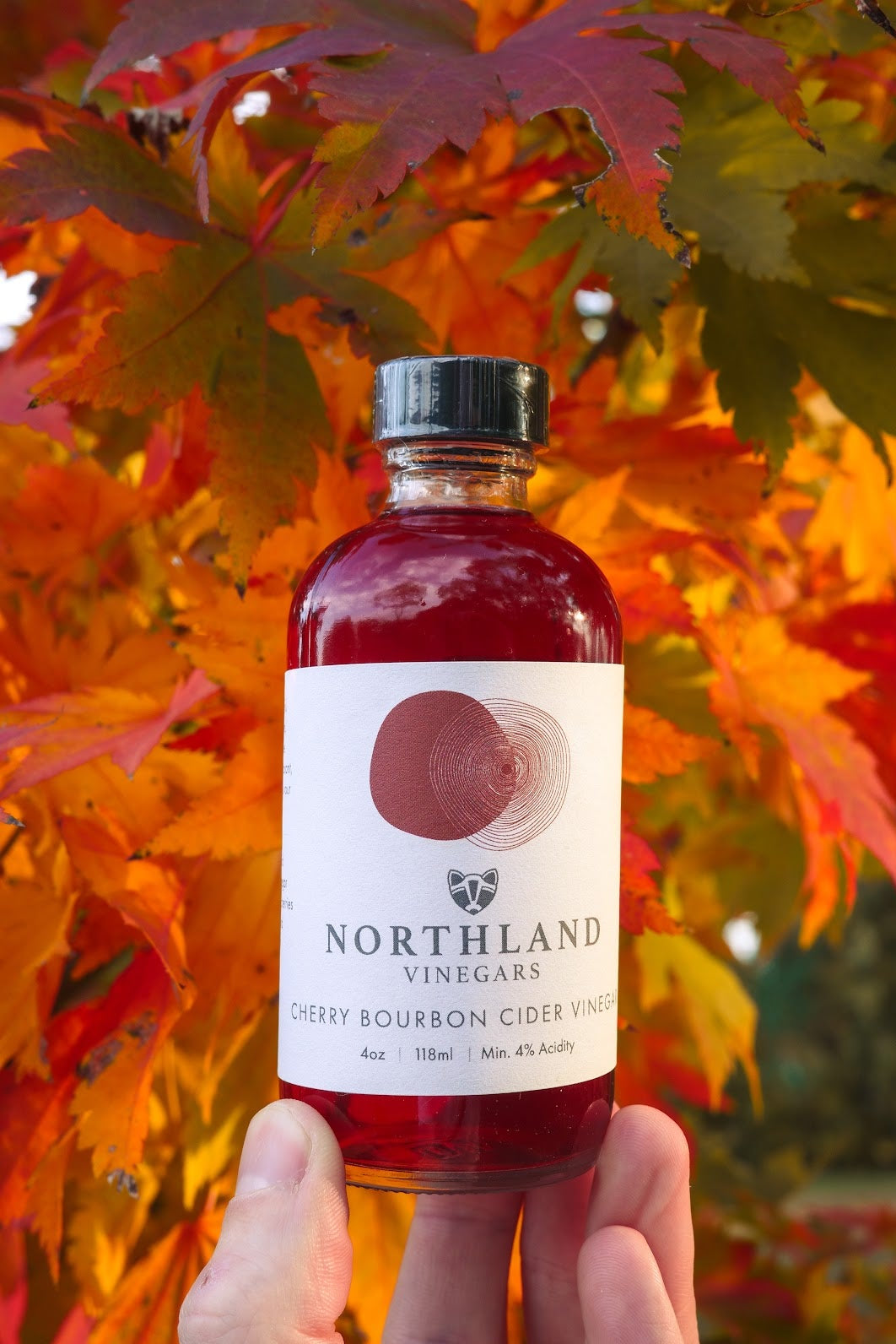 Bottle of Northland Vinegars cherry bourbon cider vinegar held in front of autumn leaves.